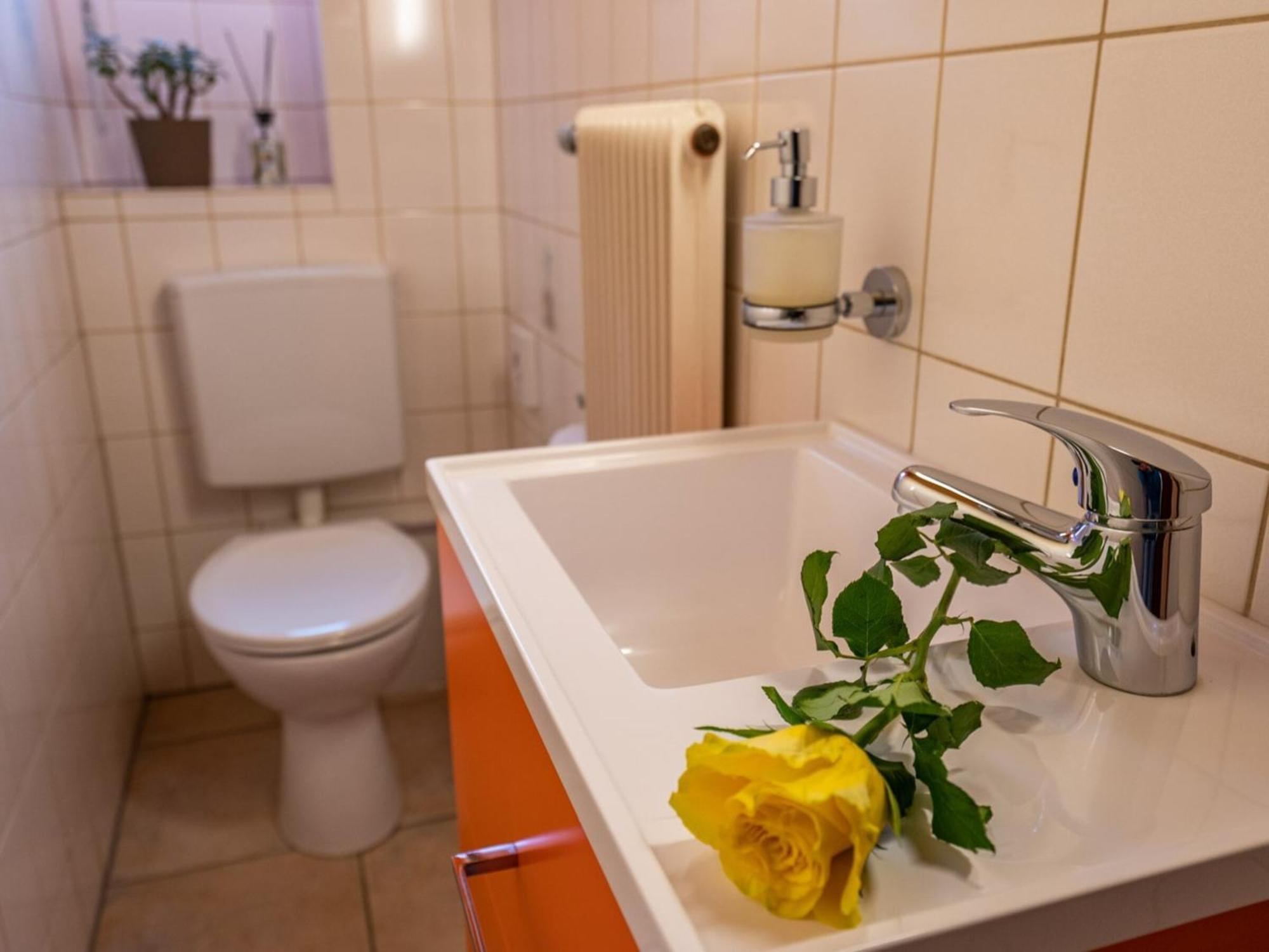 Ferienwohnung Dietsche Todtnau Esterno foto